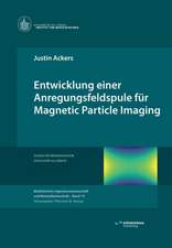 Ackers, J: Entwicklung einer Anregungsfeldspule für Magnetic