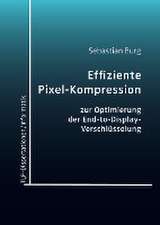 Effiziente Pixel-Kompression zur Optimierung der End-to-Display-Verschlüsselung