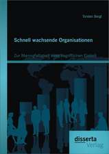 Schnell Wachsende Organisationen: Zur Mannigfaltigkeit Einer Begrifflichen Einheit