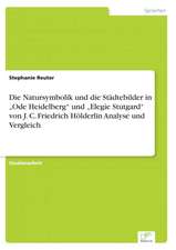 Die Natursymbolik und die Städtebilder in ¿Ode Heidelberg¿ und ¿Elegie Stutgard¿ von J. C. Friedrich Hölderlin Analyse und Vergleich