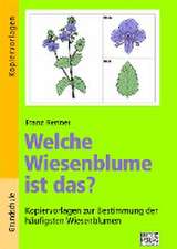 Welche Wiesenblume ist das?