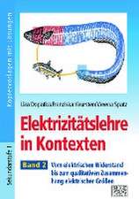 Elektrizitätslehre in Kontexten - Band 2