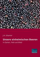 Unsere einheimischen Beeren