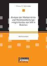 Analyse Der Markteintritts- Und Marktbearbeitungsmoglichkeiten Von VW in Brasilien