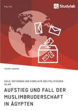 Aufstieg und Fall der Muslimbruderschaft in Ägypten. Ziele, Methoden und Konflikte des politischen Islam