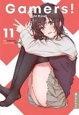 Gamers! Light Novel 11