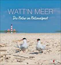 Watt'n Meer Postkartenkalender 2025 - Die Natur