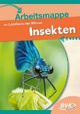 Leselauscher Wissen Insekten Arbeitsmappe