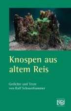 Knospen aus altem Reis