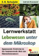 Lernwerkstatt Lebewesen unter dem Mikroskop / Klasse 5-6