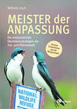 Meister der Anpassung