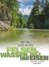 Im Tal der Mürz