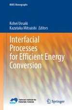 Interfacial Processes for Efficient Energy Conversion