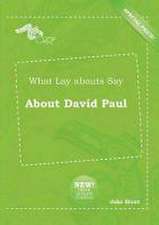 What Lay Abouts Say about David Paul