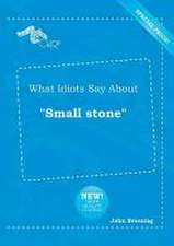 What Idiots Say about Small Stone