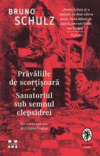 Prăvăliile de scorțișoară. Sanatoriul sub semnul clepsidrei