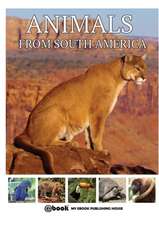 Animals from South America