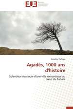 Agades, 1000 ANS D'Histoire: Une Incitation Au Risque?