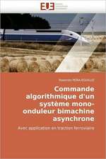 Commande algorithmique d'un système mono-onduleur bimachine asynchrone