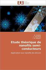 Etude Theorique de Nanofils Semi-Conducteurs: Le Role Des Comportements de Sante