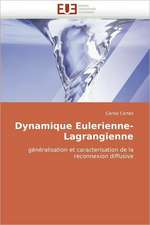 Dynamique Eulerienne-Lagrangienne