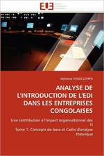 Analyse de L''Introduction de L''Edi Dans Les Entreprises Congolaises