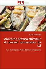 Approche Physico-Chimique Du Pouvoir Conservateur Du Sel