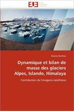 Dynamique et bilan de masse des glaciers Alpes, Islande, Himalaya