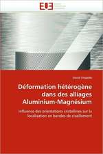 Deformation Heterogene Dans Des Alliages Aluminium-Magnesium: Biodiversite Et Biovalorisation