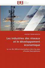 Les Industries Des Reseaux Et Le Developpement Economique: Logiques Sous-Jacentes