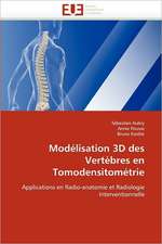 Modelisation 3D Des Vertebres En Tomodensitometrie