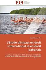 L'Etude D'Impact En Droit International Et En Droit Gabonais: Ecriture Et Allusion