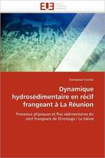 Dynamique Hydrosedimentaire En Recif Frangeant a la Reunion: Metallurgie de La Periode Thule