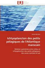 Ichtyoplancton Des Petits Pelagiques de L'Atlantique Marocain: Une Evaluation Du Modele Riskmetrics