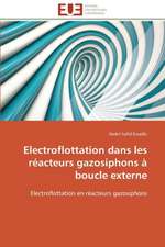 Electroflottation Dans Les Reacteurs Gazosiphons a Boucle Externe