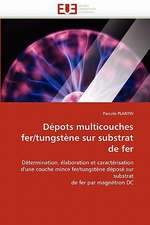 Depots Multicouches Fer/Tungstene Sur Substrat de Fer: de La Perception a la Gene