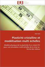 Plasticite Cristalline Et Modelisation Multi Echelles