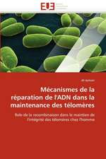 Mécanismes de la réparation de l'ADN dans la maintenance des télomères