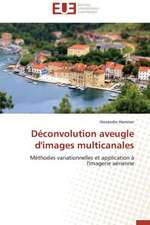 Deconvolution Aveugle D'Images Multicanales: Application a la Fiabilite Et Au Diagnostic