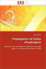 Propagation de fuites d''hydrogène