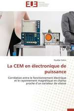 La Cem En Electronique de Puissance: Reparametrage de Stics