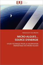 MICRO-ALGUES... SOURCE D''ENERGIE