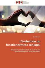 L'Evaluation Du Fonctionnement Conjugal: Cas de Amasco