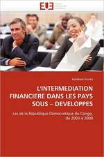 L'Intermediation Financiere Dans Les Pays Sous?developpes: Quels Soins Et Quel Devenir