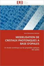 Modelisation de Cristaux Photoniques a Base D'Opales