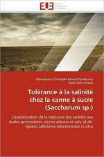 Tolérance à la salinité chez la canne à sucre (Saccharum sp.)