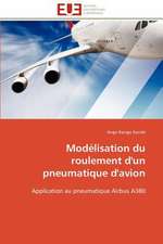 Modelisation Du Roulement D'Un Pneumatique D'Avion