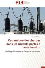 Dynamique Des Charges Dans Les Isolants Portes a Haute Tension