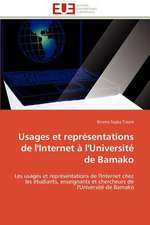 Usages Et Representations de L'Internet A L'Universite de Bamako