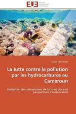 La Lutte Contre La Pollution Par Les Hydrocarbures Au Cameroun: Solutions Analytiques Pures